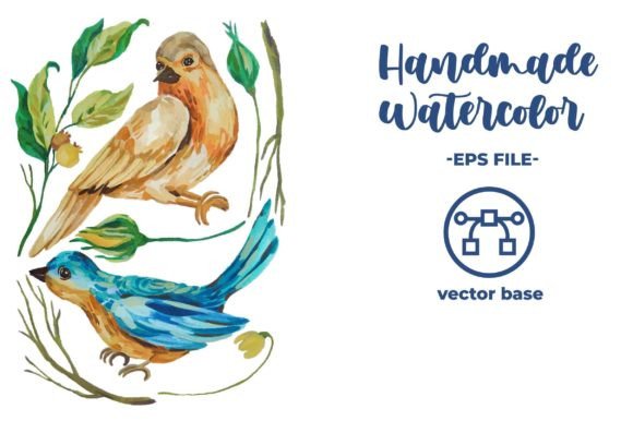 Bird Watercolor Illustrations Clip Art: A Designer’s Real-World Review for Client Projects