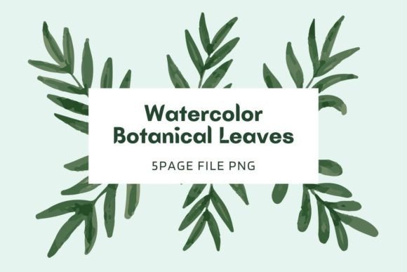 Botanical Watercolor Pack 17: A Seller’s Review for Commercial Design Use