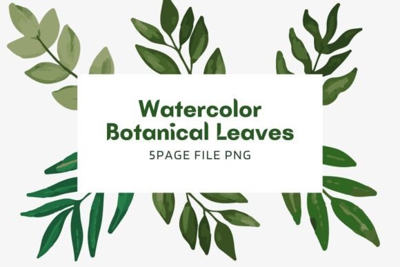 Botanical Watercolor Pack 19: A Fresh Illustration Bundle for Lifestyle Branding