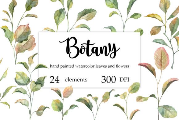 Hand-Painted Watercolor Botany Set: A Designer’s Real-World Review
