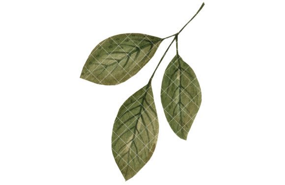 Leaf, Watercolor Illustration: A Versatile Design for Etsy Sellers & Digital Product Makers