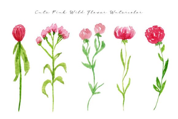 Pink Wild Flowers and Leaves Watercolor: A Designer’s Real-Use Review