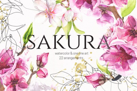 Watercolor Cherry Floral Illustrations for Blog & Editorial Design