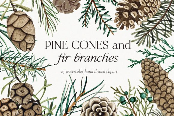 Watercolor Pine Cone Fir Branch Clipart for Etsy & Digital Product Sellers