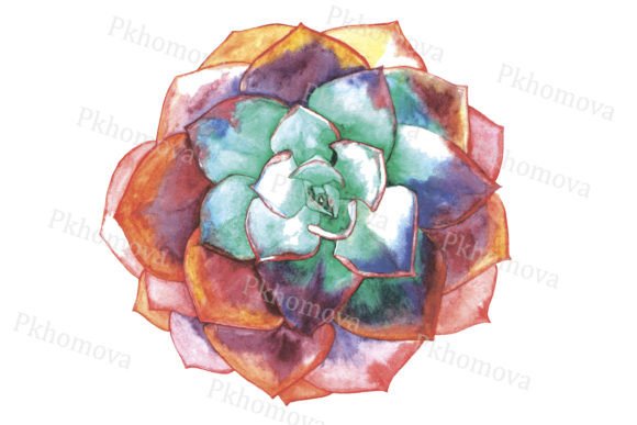 Watercolor Succulent Rose for Sublimation: A Designer’s Real-World Embroidery Review